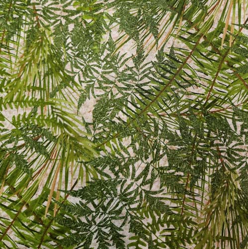 Tenderwood - Fern toss - Green- Tossed green fern leaves on light background