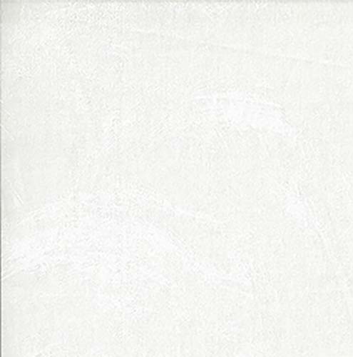 Plaster of Paris - Pearl - white on white brush texture - tone on tone