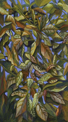 Forage & Fodder - Hickory Sky -Olive - large green leaves on sky blue