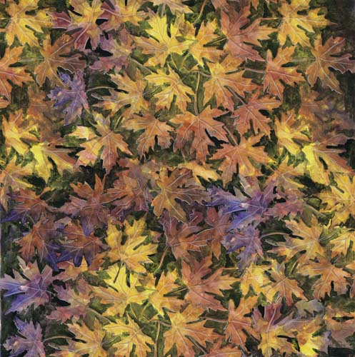Forage & Fodder - Maples - Pumpkin - Bright fall leaves on dark green