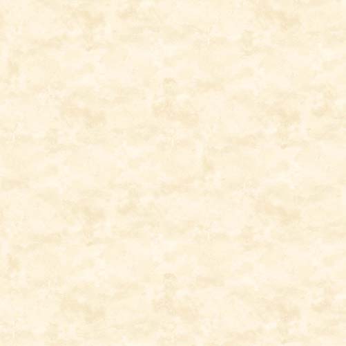 Toscana - Ivory - Looks like suede feels like silk 100% Cotton