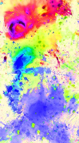 Wildflower II Canvas - Splash - Multi colors splashed on white - canvas