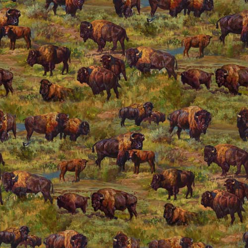 Home on the Range - Buffalo Scenic - Green- Buffalo grazing