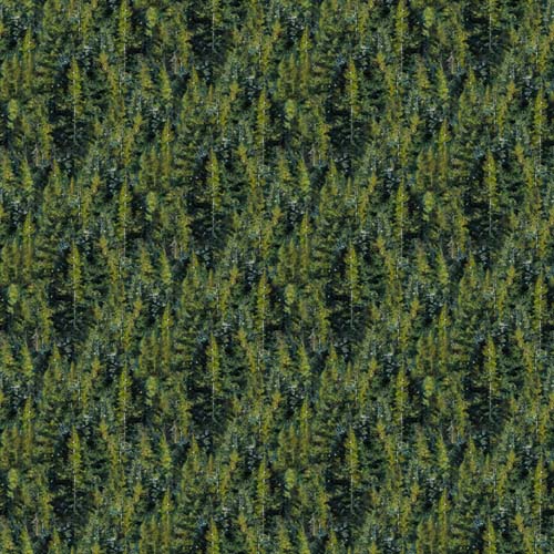 Hidden Valley - Trees - Dark Green - Pine Forest - packed trees -Naturescapes