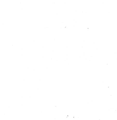 108" wide backing - Flannel - 2-ply white flannel