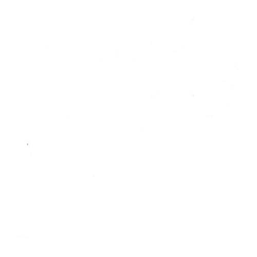 118" Wide Backing - Cotton Muslin - Bleached White by Oasis Fabrics