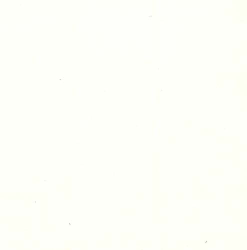 118" Wide Back - cotton sateen - natural - 300cnt.