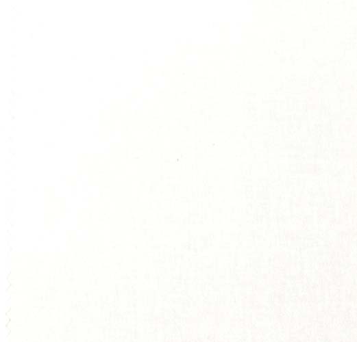 Oasis Solids - Cream
