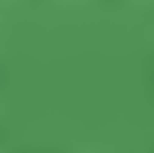 Oasis Solids - Landscape Green by Oasis Fabrics