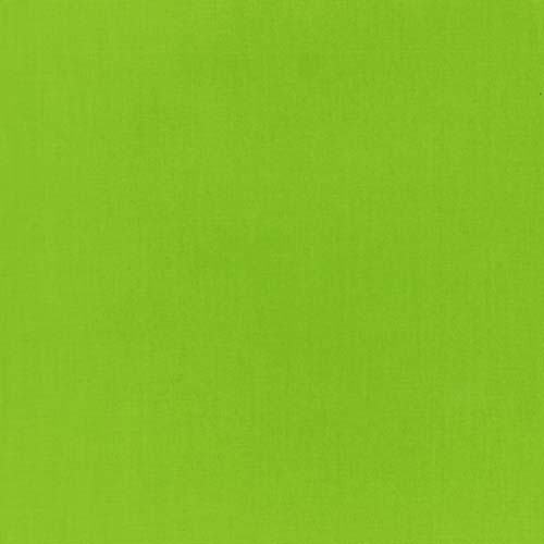 Oasis Solids - Bright Green