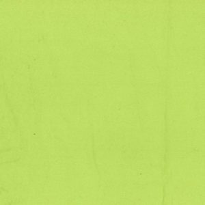 Flannel - Solid - Lime - 6.6oz. by Oasis Fabrics