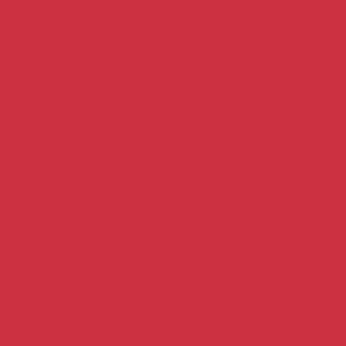 Painters Palette - Raspberry - Dark pink - solid