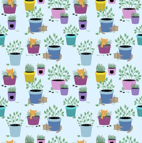 Cat in the Box - Cats & Catnip - cats playing & potted catnip on blue
