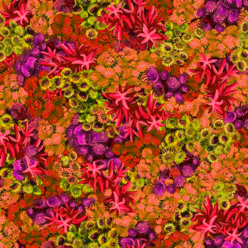 Treasures at Sea - Coral - Oranges & pinks - packed pink & orange coral