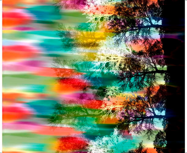 Tree Dance - Watercolor Tree Border - Multi - black tree border on rainbow