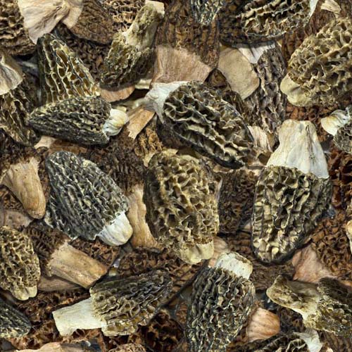 This & That X - Morel Mushrooms - Brown - packed mushrooms
