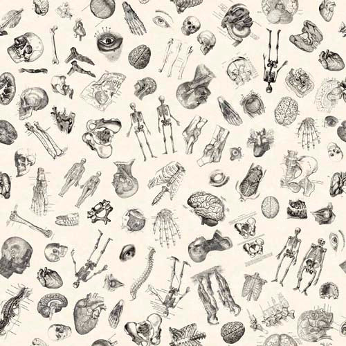 True Detective - Anatomy Toss- Beige - bones & anatomy illustrations on cream