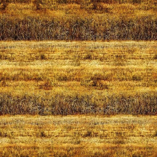 Earthly Delights - Grassy Field - Gold - yellow gold grass