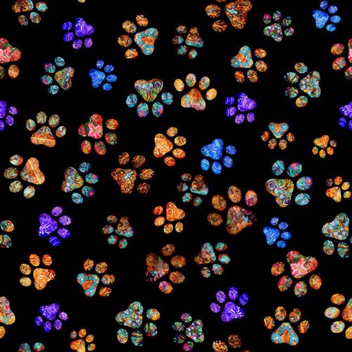 Feline Fantasia - Paw Prints - Black - colorful paw prints on black