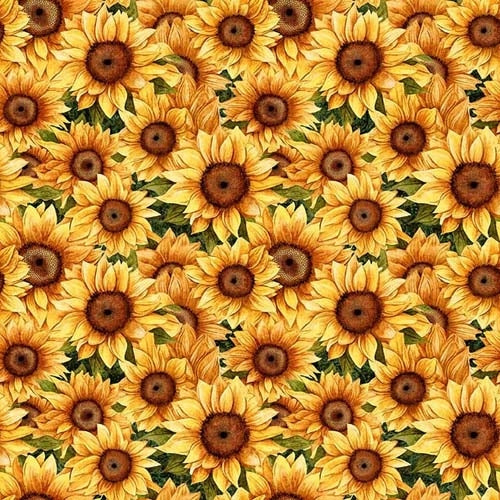 Sunflower Serenade - Packed Sunflowers - Green