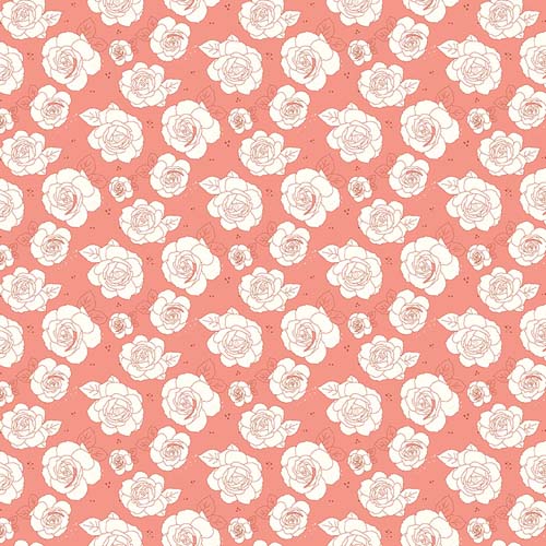 Sunsetridge - Roses - Salmon - white roses on dark pink