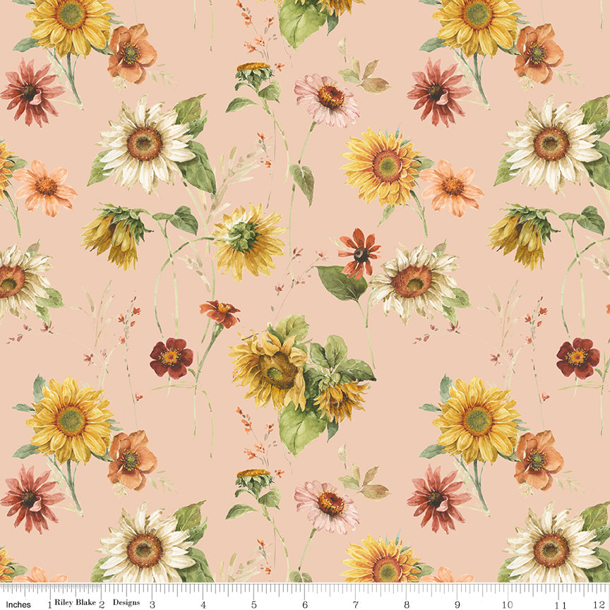 Sunflower Whispers -Sunflowers - Blush - sunflowers on blush