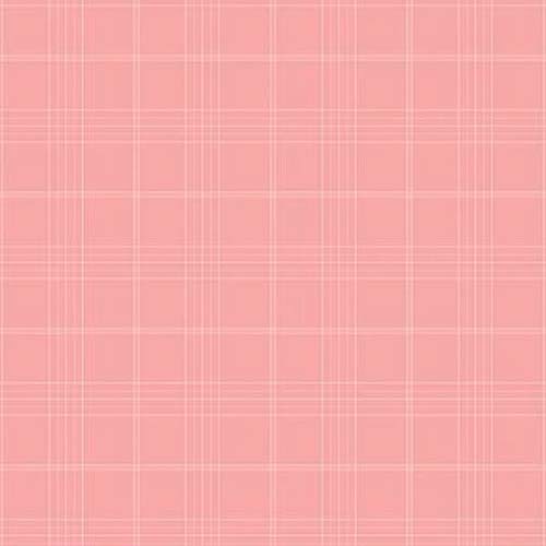 Peter Rabbit & Friends Flannel - Plaid - Pink - pink plaid