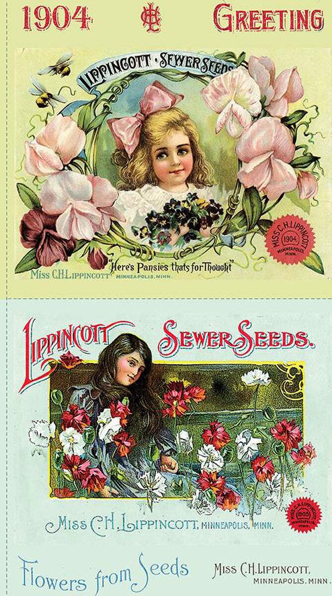 Sewing Seeds III - 24in. PANEL - Pillow Sham Panel - 2 large panels
