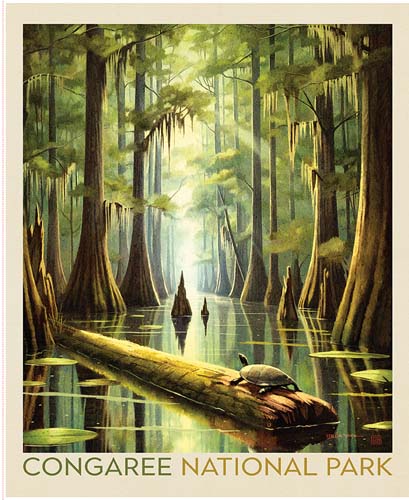National Parks - 1yd. PANEL - Congaree National Park Poster