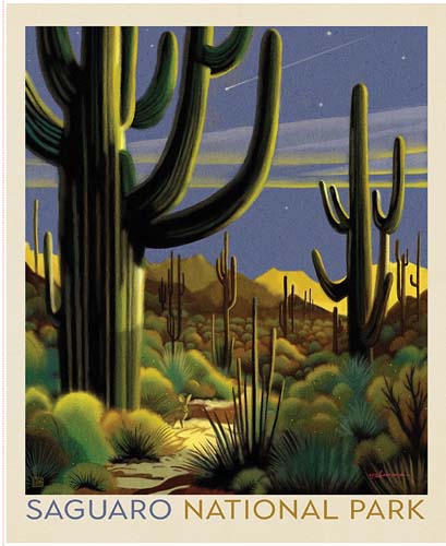 National Parks - 1yd. PANEL - Saguaro  National Park Poster
