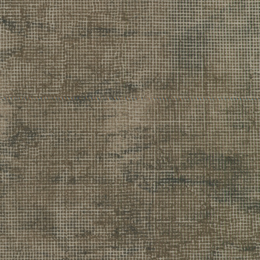 Chalk and Charcoal - Fossil