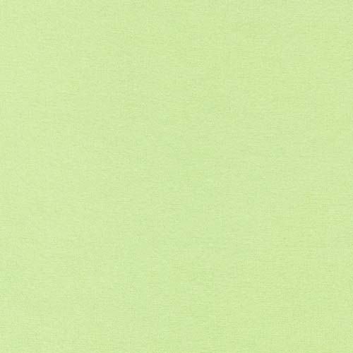 Flannel Solid - Sweet Pea - light dusky green