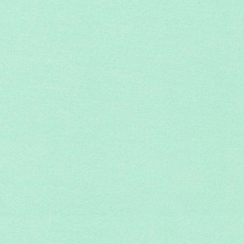 Flannel Solid - Spring - light green