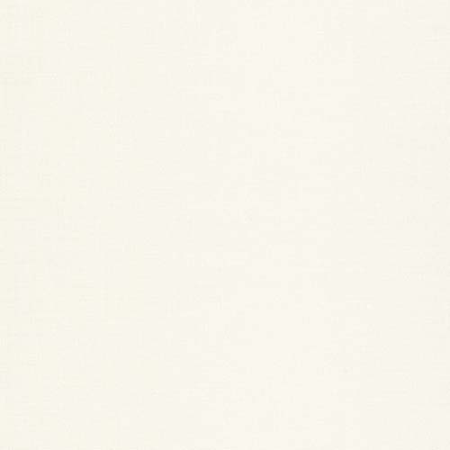 Kona Cotton Solid  - Bone  - white
