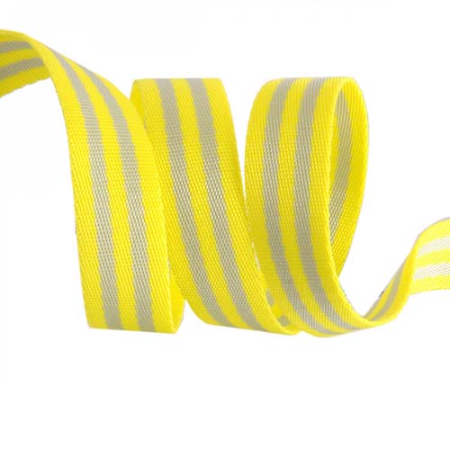 Tula Pink Webbing - 2 yards of 1 inch striped nylon - grey and lime