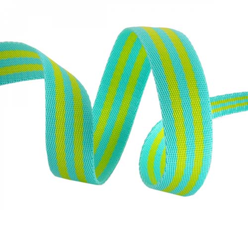 Tula Pink Webbing - 2 yards of 1 inch striped nylon - lime & turquoise