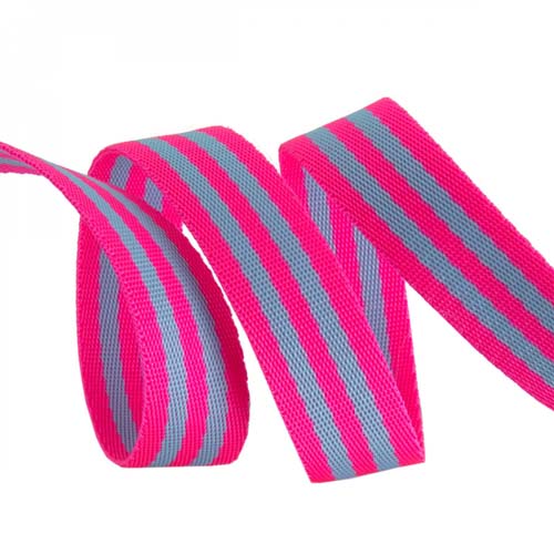 Tula Pink Webbing - 2 yards of 1 inch striped nylon - Aqua & hot pink