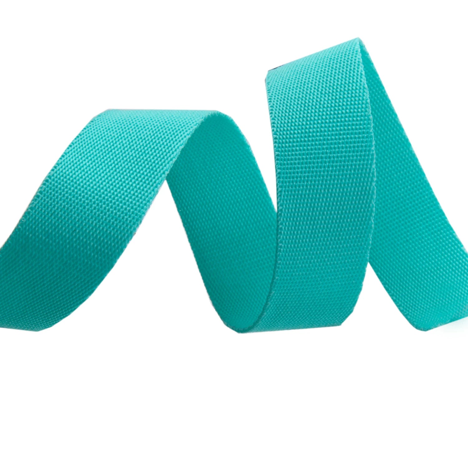 Tula Pink Webbing - 2 yards of Spirit Teal EverGlow