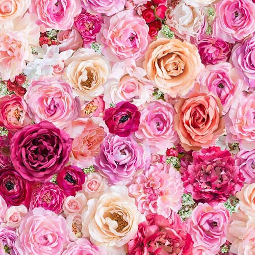 Belle Rose - Large Packed Roses - Multi - large packed pink coral & cream roses