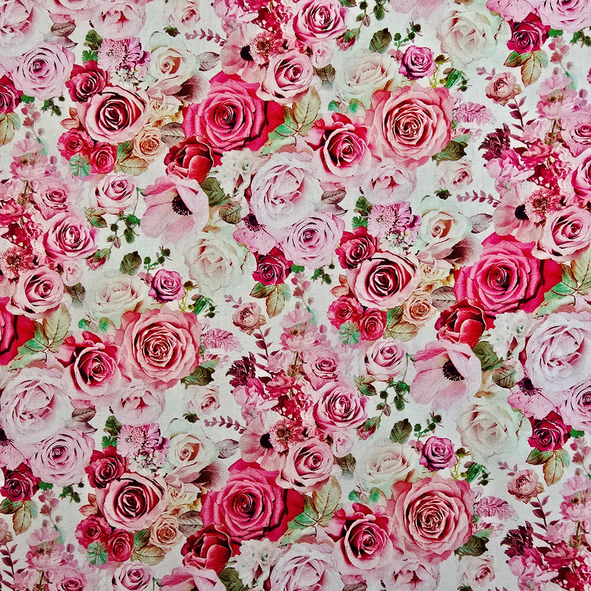 Belle Rose - Rose Bouquet - Cream - pink, coral & cream roses on cream