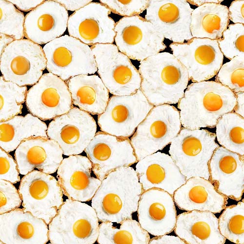 What's for Breakfast - Fried Eggs - White - packed fried eggs