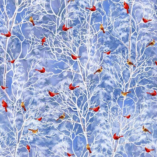 Christmas Eve - Cardinal on Snowy Tree - Winter - birds on white branches on blu