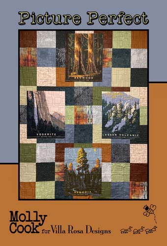 Picture Perfect- uses 4 panels & fat quarters by Molly Cook- Villa Rosa Designs