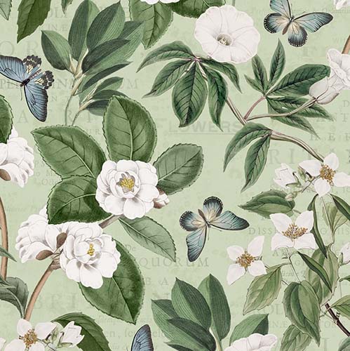 Garden Grace - Botanical - Sage - White flowering branches on green