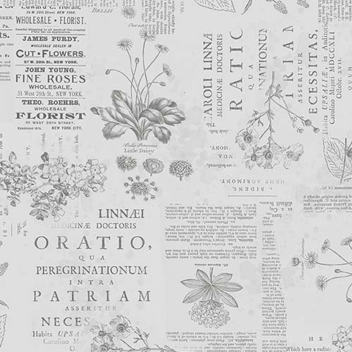 Garden Grace - Floral Monograph - Gray - text & drawings on light gray