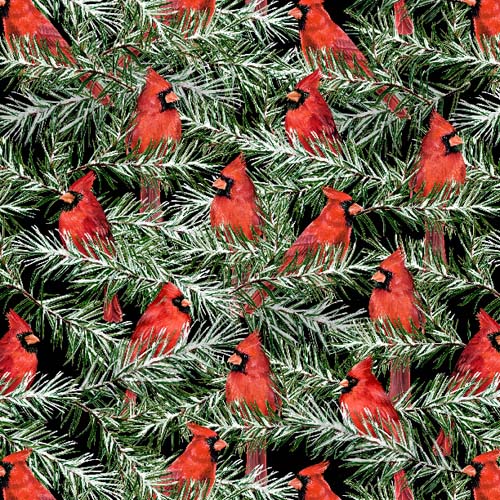 Country Cardinals - Cardinals- Black - cardinals in pine on black