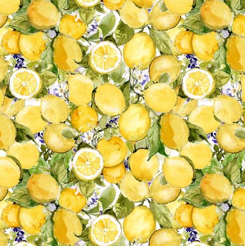 Lavender Lemonade - Lemons - Multi - packed lemons on white- Susan Winget