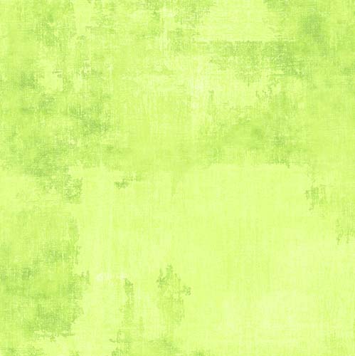 Essentials Dry Brush - Citrus - Bright Green by Danhui Nai