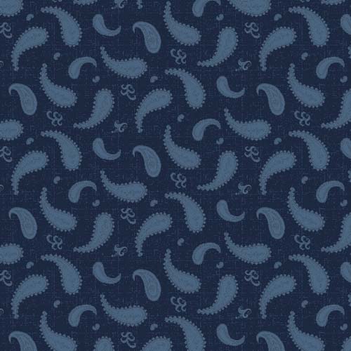 Rainbow Sampler - Large Paisley - Blue