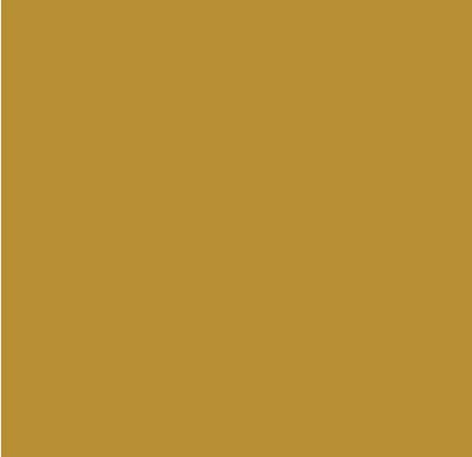 Ruby and Bee Solids - Turmeric -  light olive green (In the Garden)